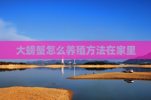 大螃蟹怎么养殖方法在家里