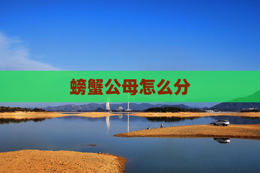 螃蟹公母怎么分