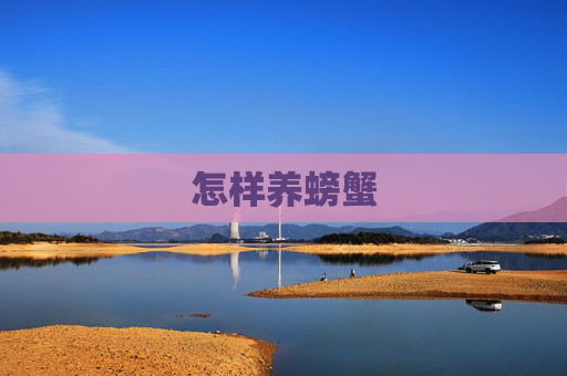 怎样养螃蟹