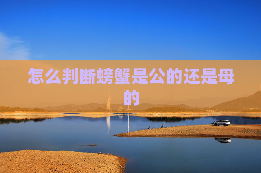 怎么判断螃蟹是公的还是母的