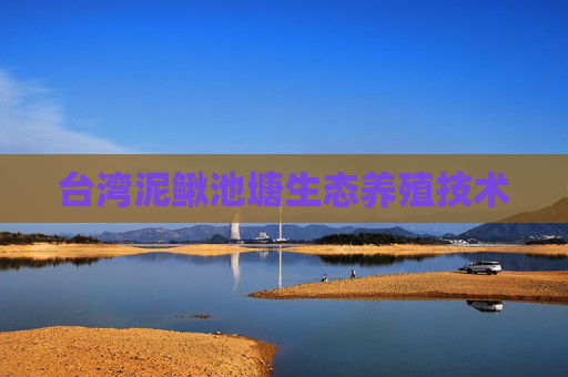 台湾泥鳅池塘生态养殖技术