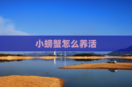小螃蟹怎么养活