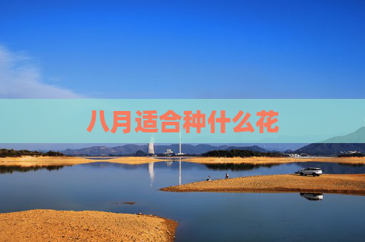 八月适合种什么花