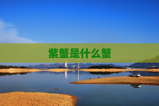 紫蟹是什么蟹