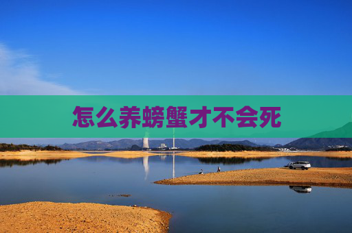 怎么养螃蟹才不会死