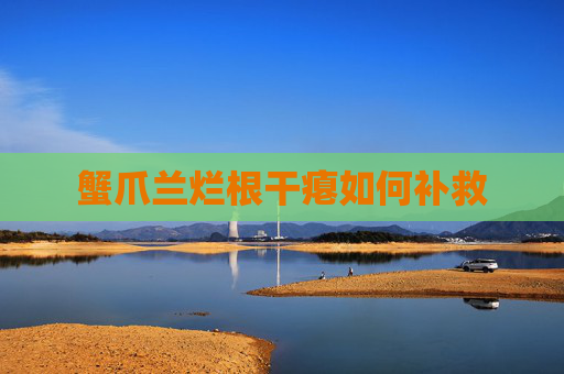 蟹爪兰烂根干瘪如何补救