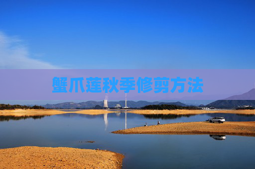 蟹爪莲秋季修剪方法