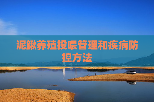 泥鳅养殖投喂管理和疾病防控方法