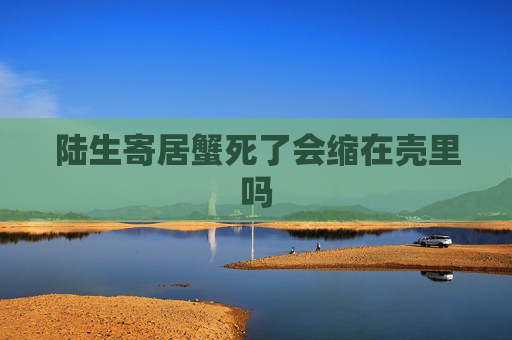 陆生寄居蟹死了会缩在壳里吗