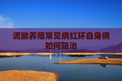 泥鳅养殖常见病红环自身病如何防治