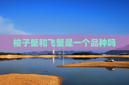 梭子蟹和飞蟹是一个品种吗