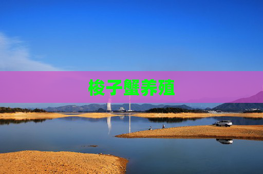梭子蟹养殖