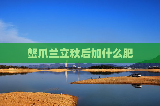 蟹爪兰立秋后加什么肥