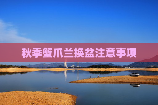 秋季蟹爪兰换盆注意事项