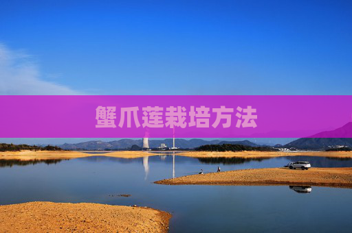 蟹爪莲栽培方法