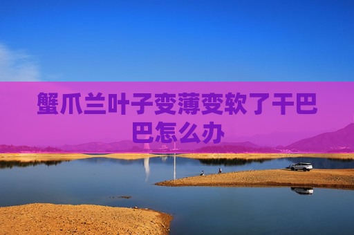 蟹爪兰叶子变薄变软了干巴巴怎么办
