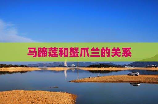 马蹄莲和蟹爪兰的关系