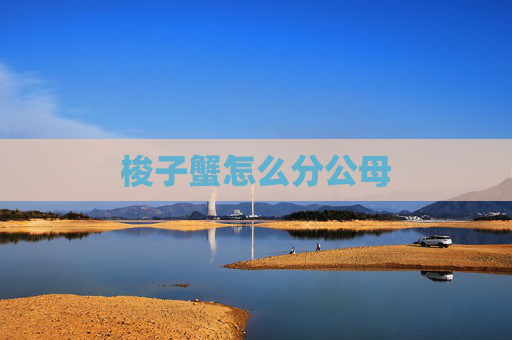 梭子蟹怎么分公母