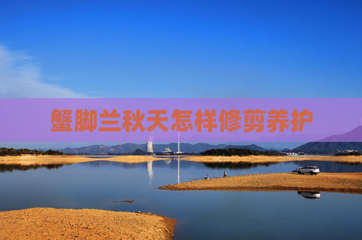 蟹脚兰秋天怎样修剪养护