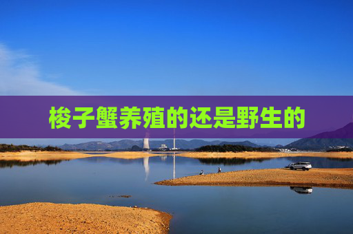 梭子蟹养殖的还是野生的