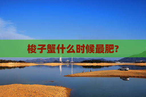 梭子蟹什么时候最肥?