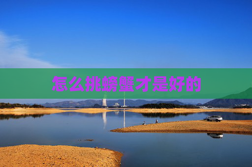 怎么挑螃蟹才是好的