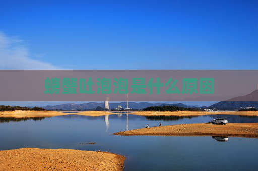 螃蟹吐泡泡是什么原因