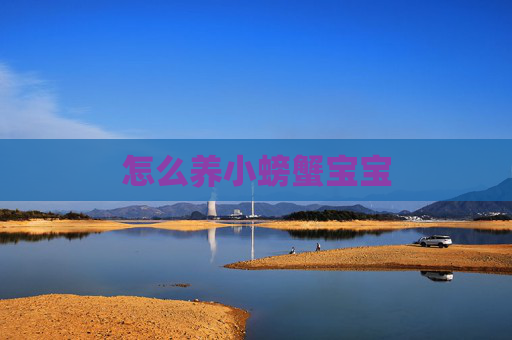 怎么养小螃蟹宝宝