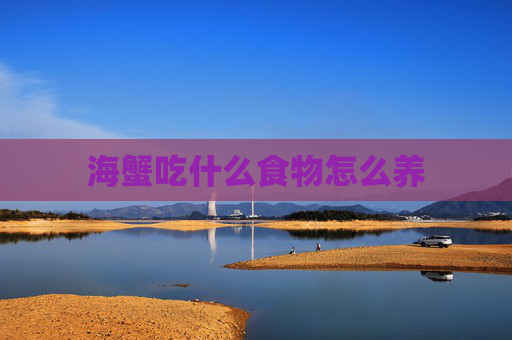 海蟹吃什么食物怎么养
