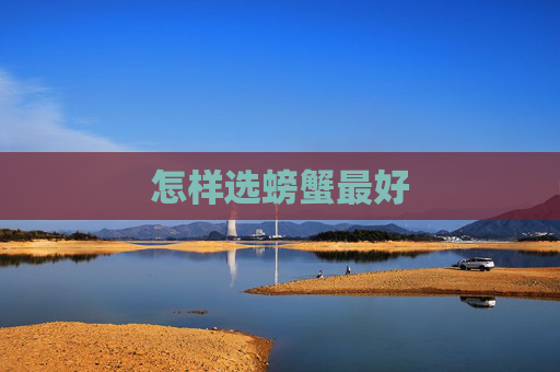 怎样选螃蟹最好