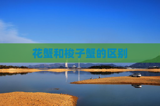 花蟹和梭子蟹的区别
