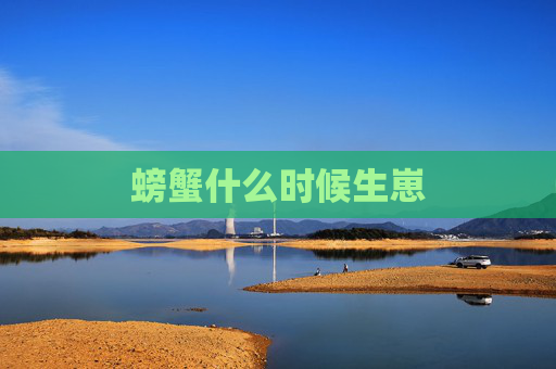 螃蟹什么时候生崽