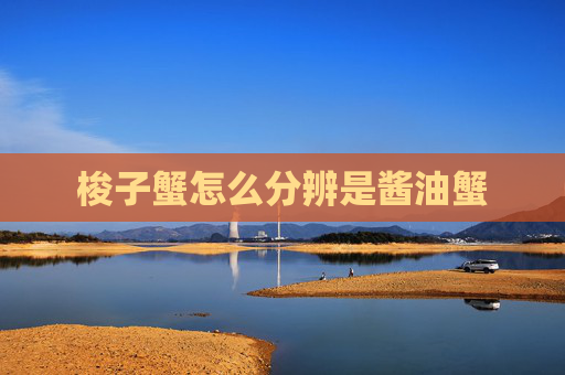 梭子蟹怎么分辨是酱油蟹