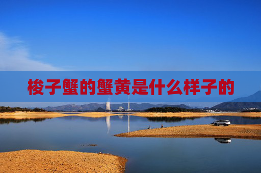 梭子蟹的蟹黄是什么样子的