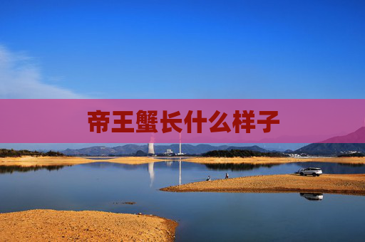 帝王蟹长什么样子