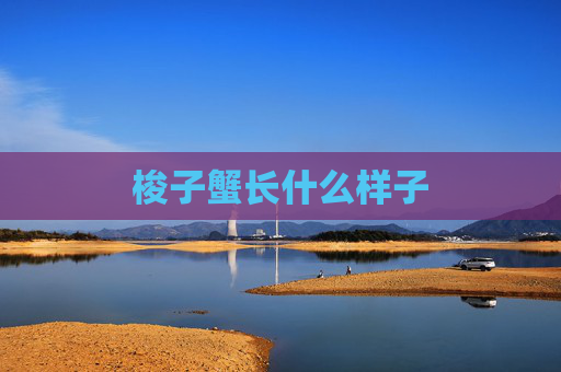 梭子蟹长什么样子