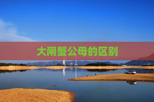 大闸蟹公母的区别