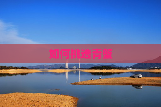 如何挑选青蟹