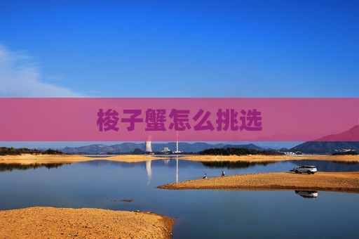 梭子蟹怎么挑选