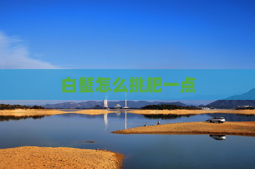 白蟹怎么挑肥一点