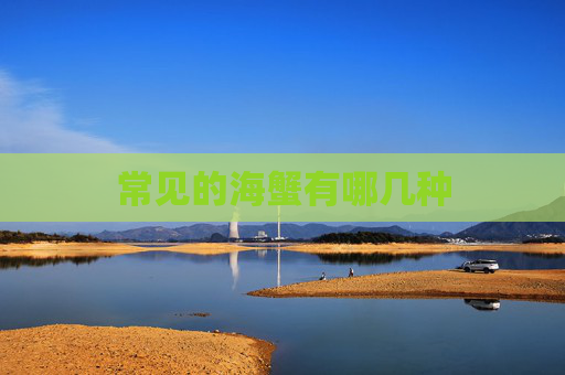 常见的海蟹有哪几种
