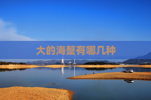 大的海蟹有哪几种