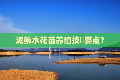 泥鳅水花苗养殖技朮要点？
