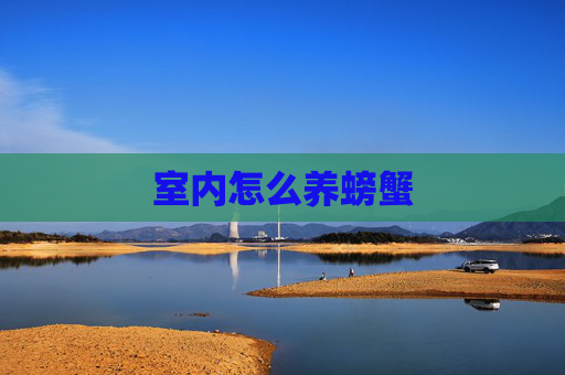 室内怎么养螃蟹