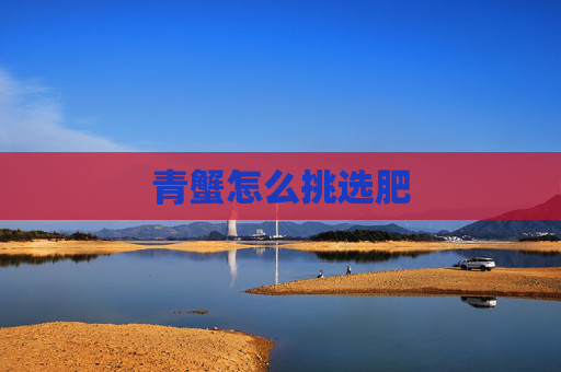青蟹怎么挑选肥