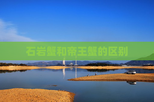 石岩蟹和帝王蟹的区别