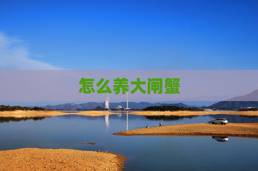 怎么养大闸蟹
