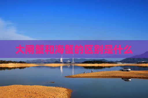 大闸蟹和海蟹的区别是什么