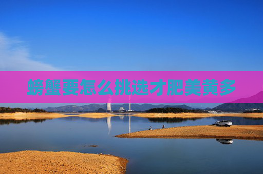螃蟹要怎么挑选才肥美黄多