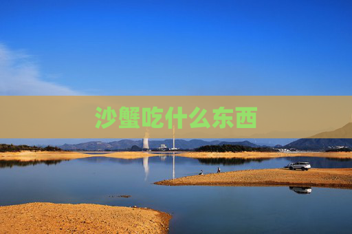 沙蟹吃什么东西